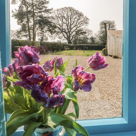 Foxglove Cottage York Exterior photo
